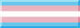 Trans pride button